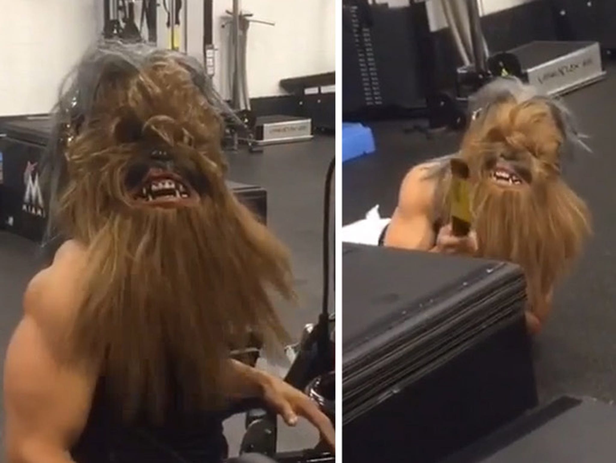 Giancarlo Stanton's workout video in a Chewbacca mask is the best Star Wars  film of the year