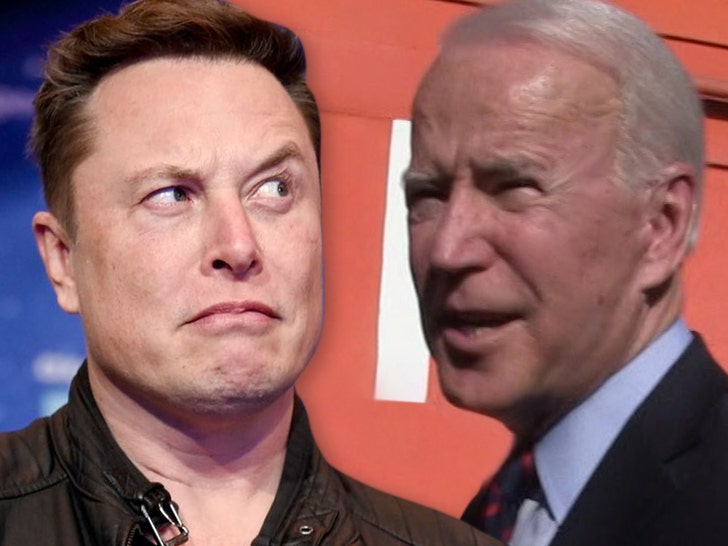 Elon Musk Calls President Biden 'Damp Sock Puppet' Over Auto Industry Diss