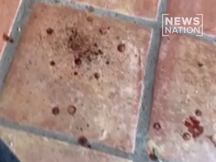 nancy-guthrie-bloed-1-02-03-2026