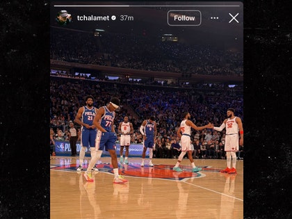 Timmy Chalamet knicks game