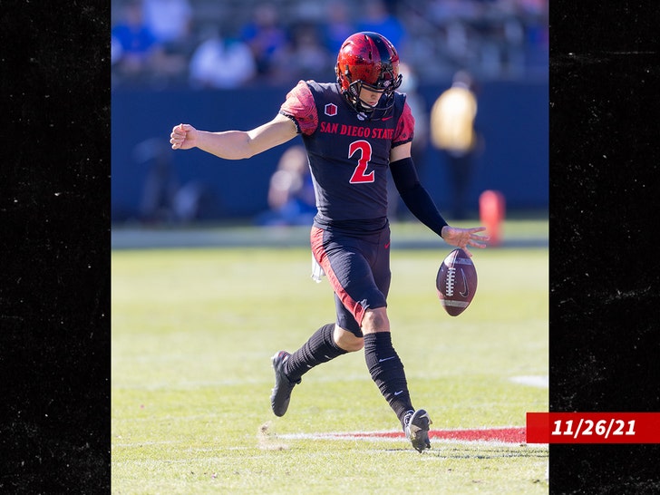 Matt Araiza, San Diego State P