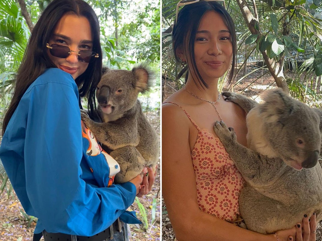 Dua Lipa vs. NIKI -- Koala Babes Edition