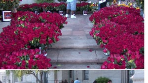 Michael Jackson's Death -- Fans Send 10k Roses to MJ's Grave
