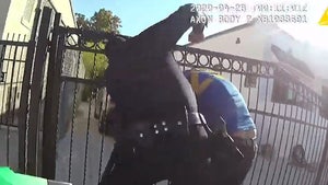 LAPD Release Body Cam Vid of Officer Punching Man During Arrest