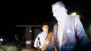 Paul Pelosi DUI Photos Show Crash, Field Sobriety Tests on Video