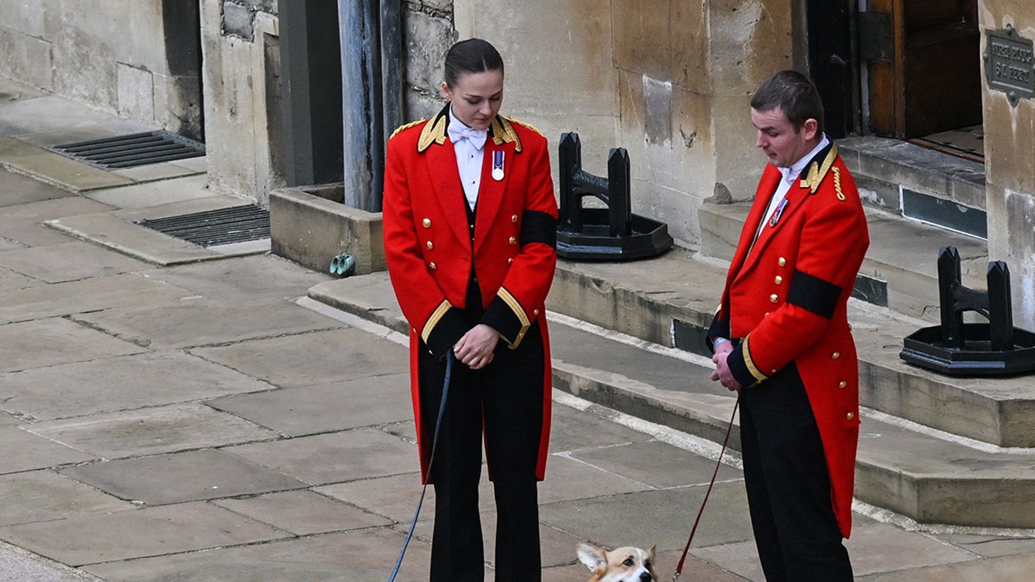 Queen Elizabeth II's Corgis Await Coffin's Arrival at Windsor Castle