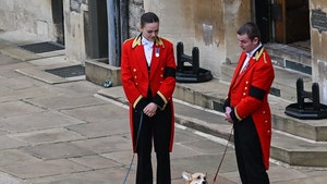 Queen Elizabeth II's Corgis Await Coffin's Arrival at Windsor Castle