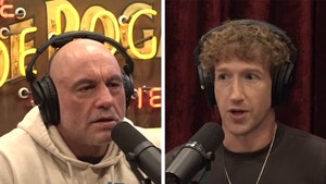 Mark Zuckerberg, Joe Rogan