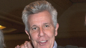 stephen hibbert main getty