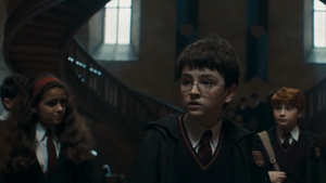 032526 harry potter primary1