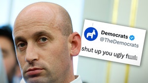 stephen miller and dems x 1