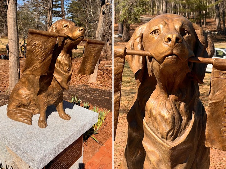 Spencer The Boston Marathon Dog Gets A Bronze Statue