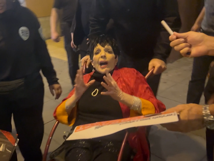 031826 liza minelli primary