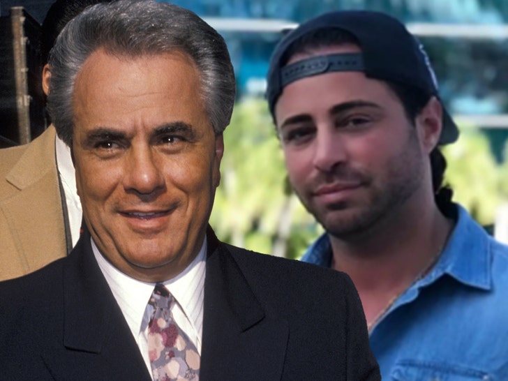 john gotti and Carmine Agnello getty insta 1