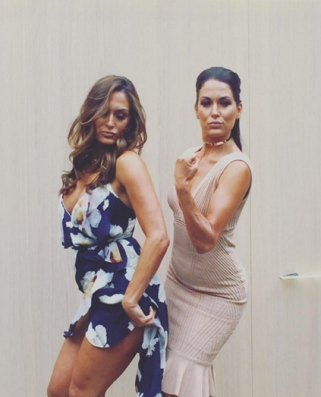 bella_twins_instagram15