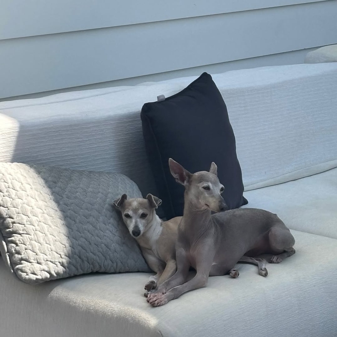 Kylie Jenner Norman Dog 3