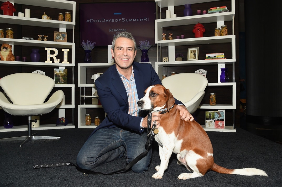 Andy Cohen Through The Years 4