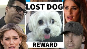 Stolen Beverly Hills Dog -- Hilary Duff & Celeb Posse Scour City