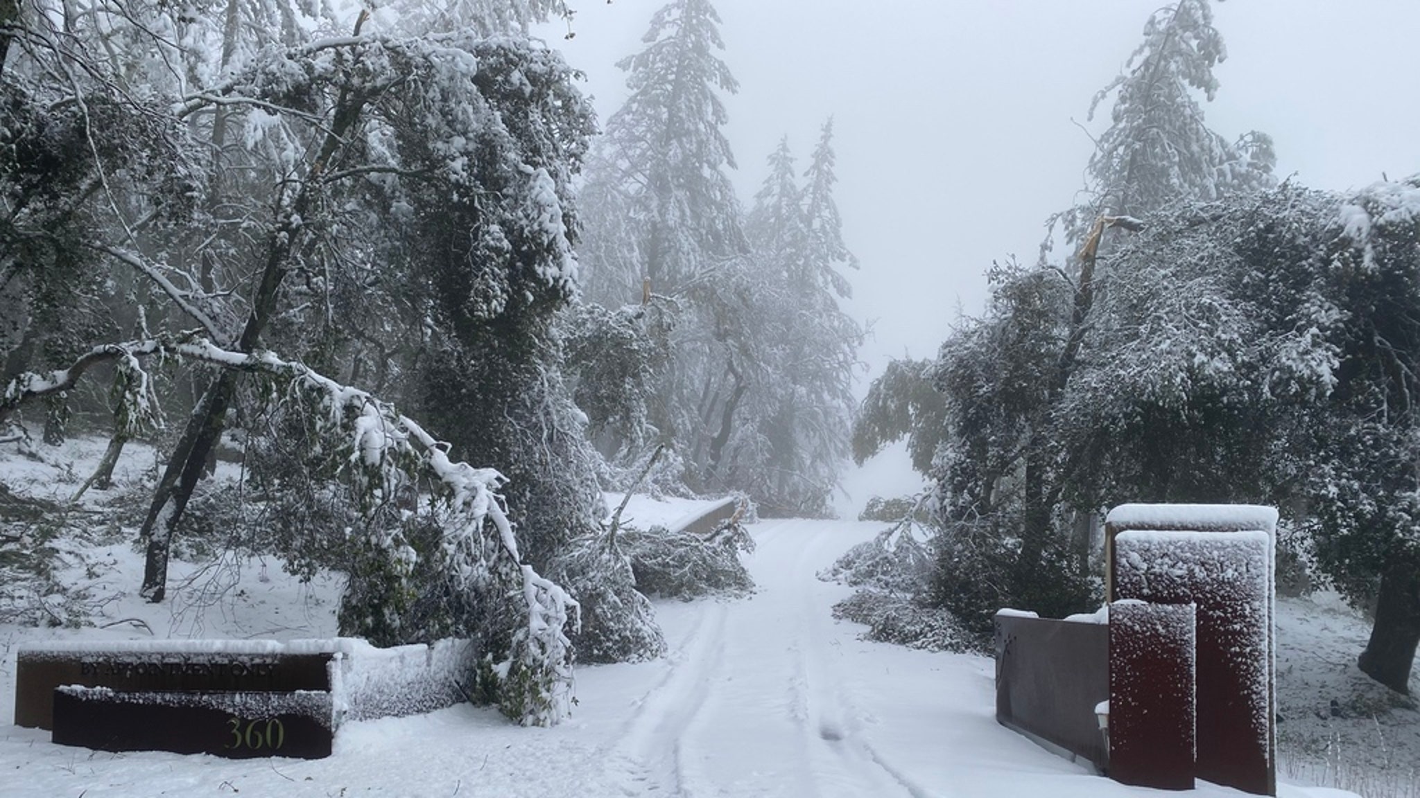 Famous Napa Valley Wineries Blanketed In Snow