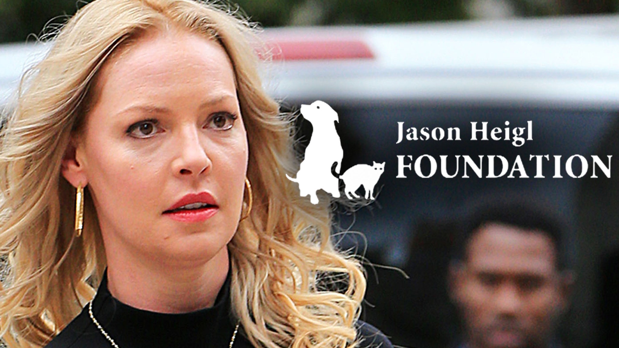 Katherine Heigl Sues Dog Rescue for Trashing Her, Claiming She Abandoned Pups