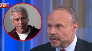 Dan Bongino, Jeffrey Epstein