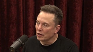 elon-musk-joe-rogan-primary-10-31-2025