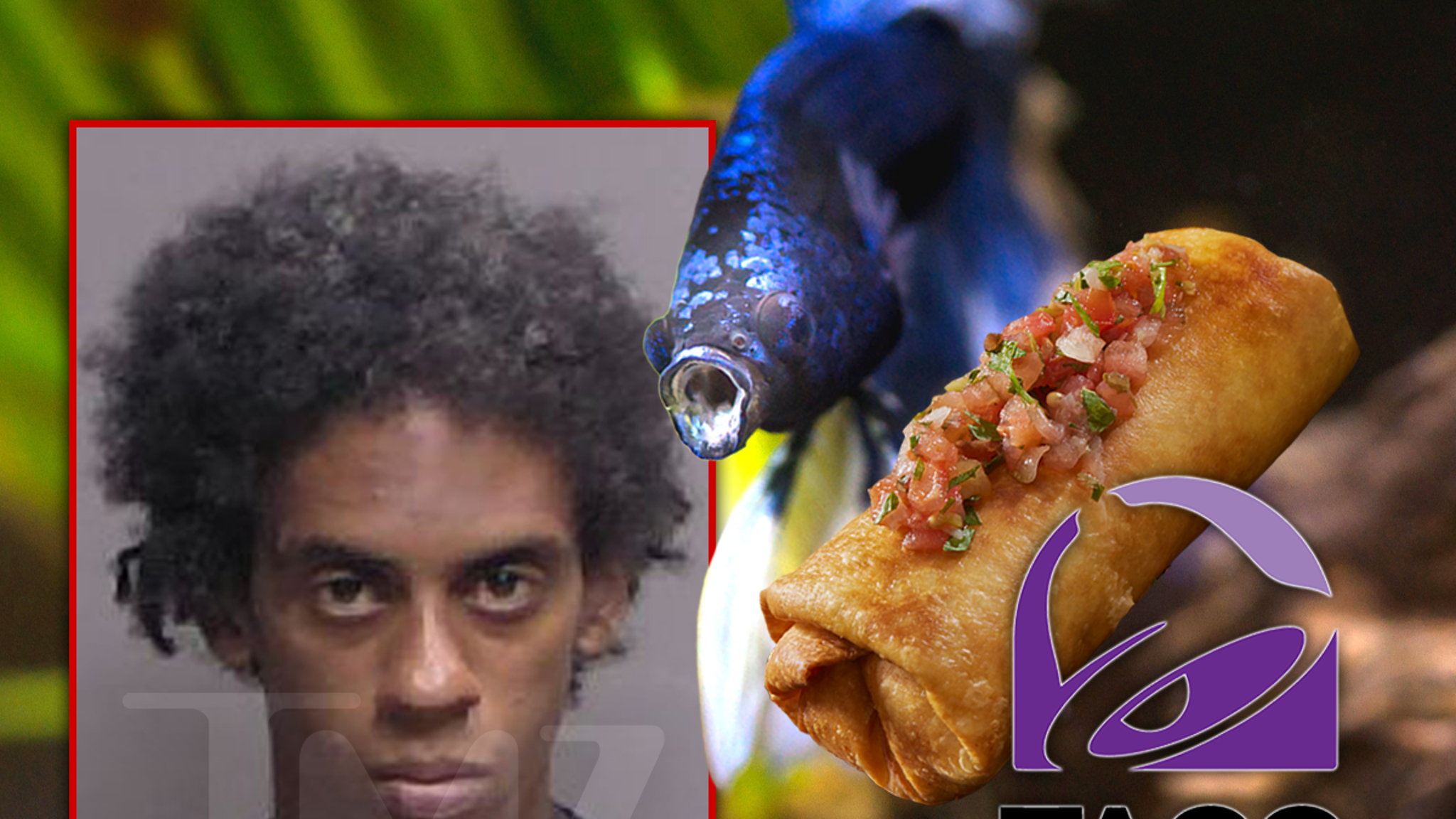 Cops Called On Florida Man Who Allegedly Had His ‘Chimichanga’ Out at Taco Bell Cops Called On Florida Man Who Allegedly Had His ‘Chimichanga’ Out at Taco Bell