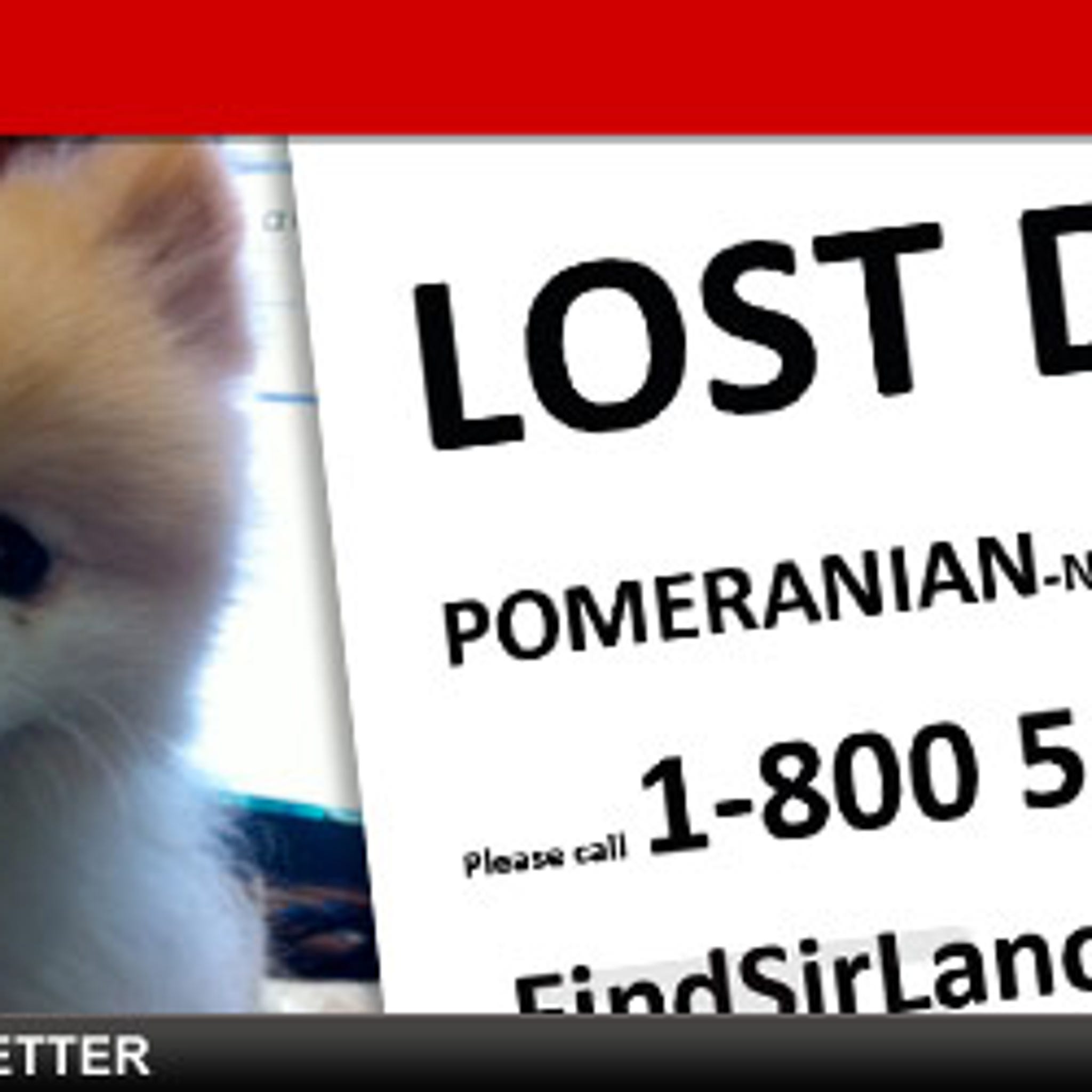 Familia diamond lost dog top