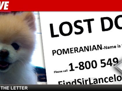 0201_lost_dog_Doc_launch_EX