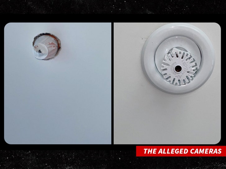 the alleged sprinkler cameras