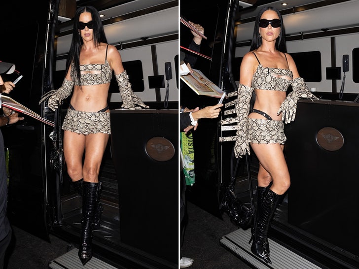 Katy Perry Goes (Snake)Skin to Win, Rocks Tiny Outfit for L.A. Album Party