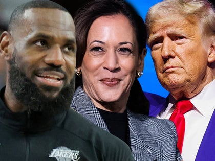 lebron james kamala harris donald trump