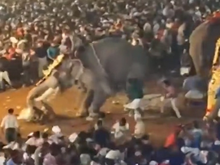 010925-elephant-rampage-crowd