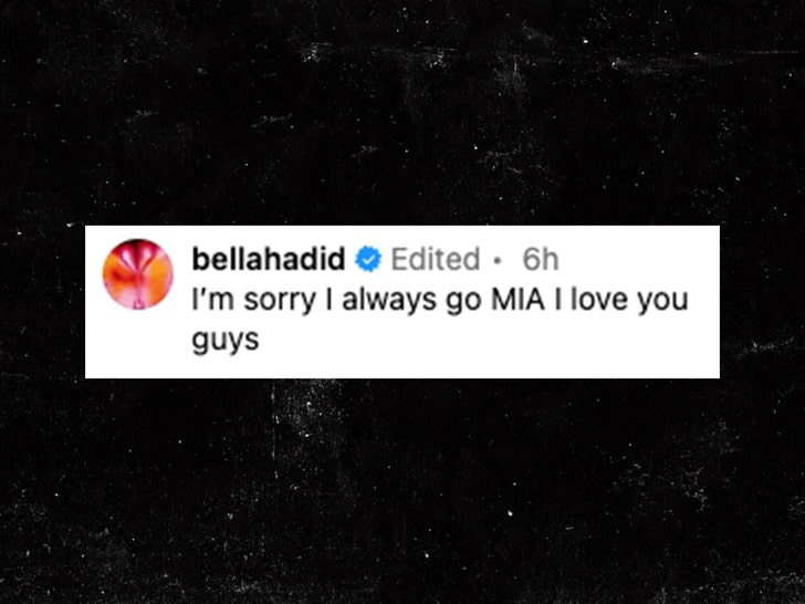 bella hadid insta post caption 1