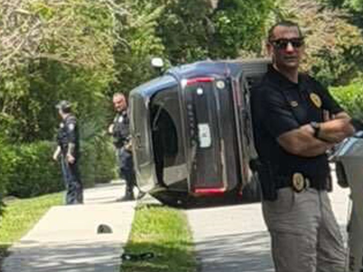 tijger jungle auto 2