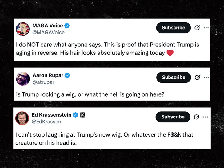 trump hair reactions x 1
