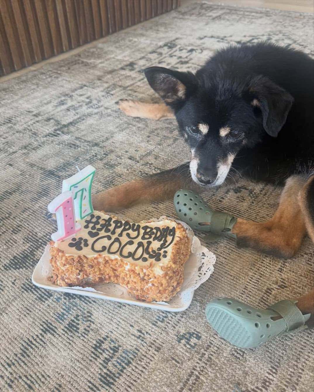 Remembering Ariana Grande Dog Coco 1