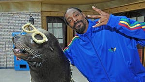 Snoop Dogg -- Nuthin' But a Sea Lion Thang