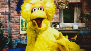 Big Bird Blasts Obama -- TAKE ME OUT OF YOUR ATTACK AD!