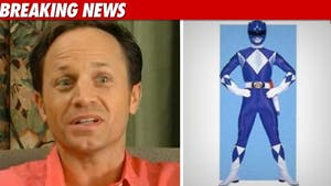 Blue Power Ranger: I Quit Show Over Gay Insults