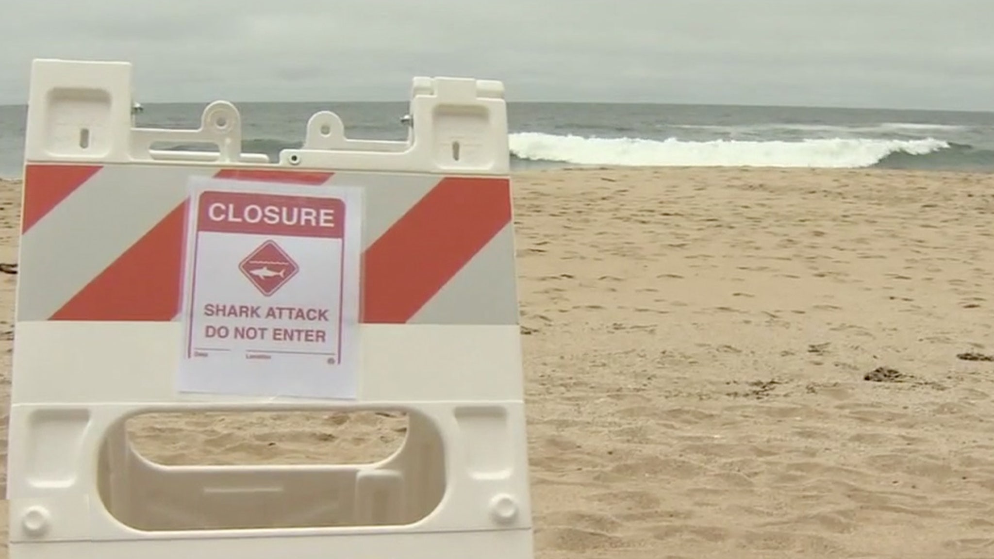 Surfer suffers leg injury in possible shark attack at beach near