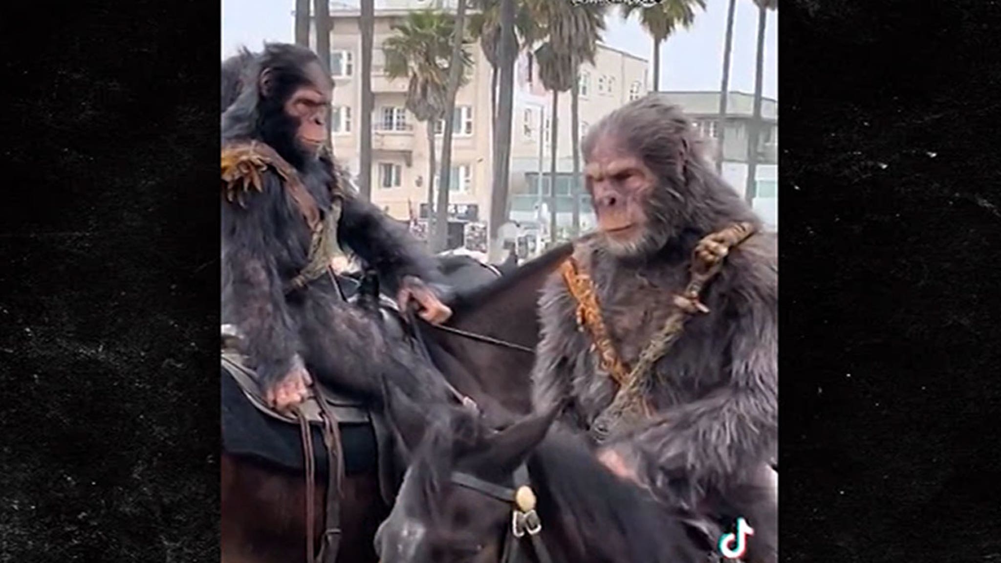 Für den neuen „Planet der Affen“-Trailer kommen die Affen zu Pferd in Venice Beach an.