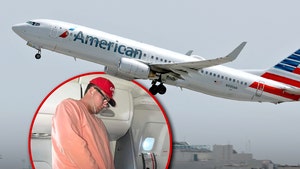 american airlines man pees on plane