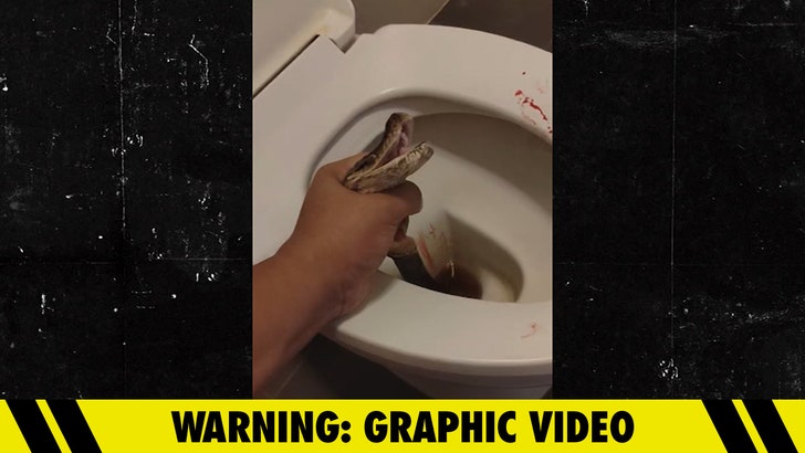 Man Says Python Bit His Balls While He Was Sitting on Toilet