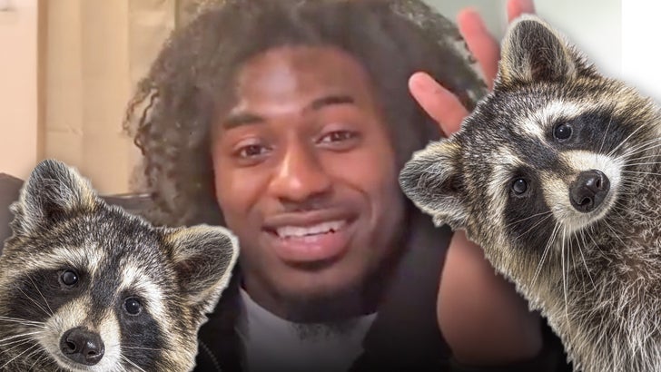 1212-xavier-legette-raccoons-x-istock-composite-2