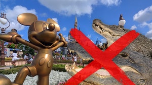 main-disney-world-park-aligators-getty-2