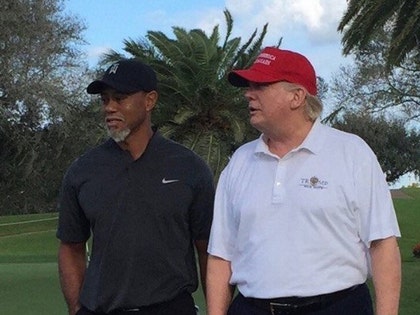 1223-donald-trump-tiger-woods-twitter