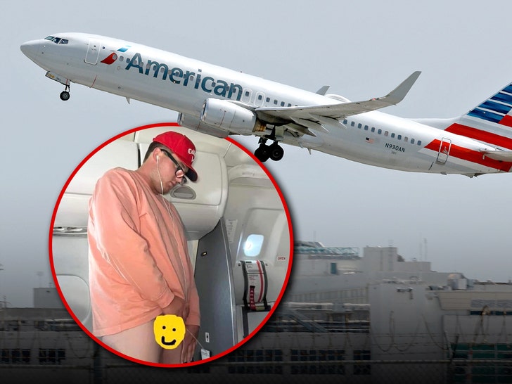 american airlines man pees on plane