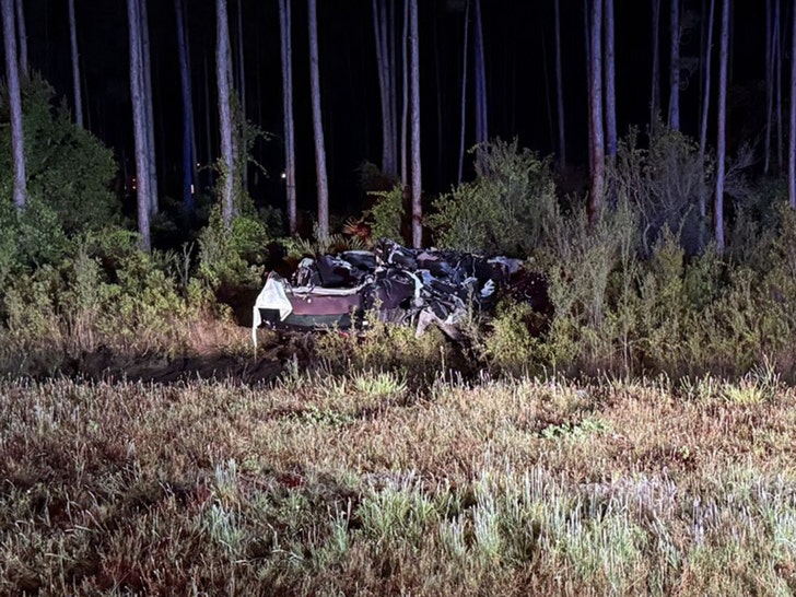 Maisey-O'Donnell-crash-Florida Highway Patrol-1