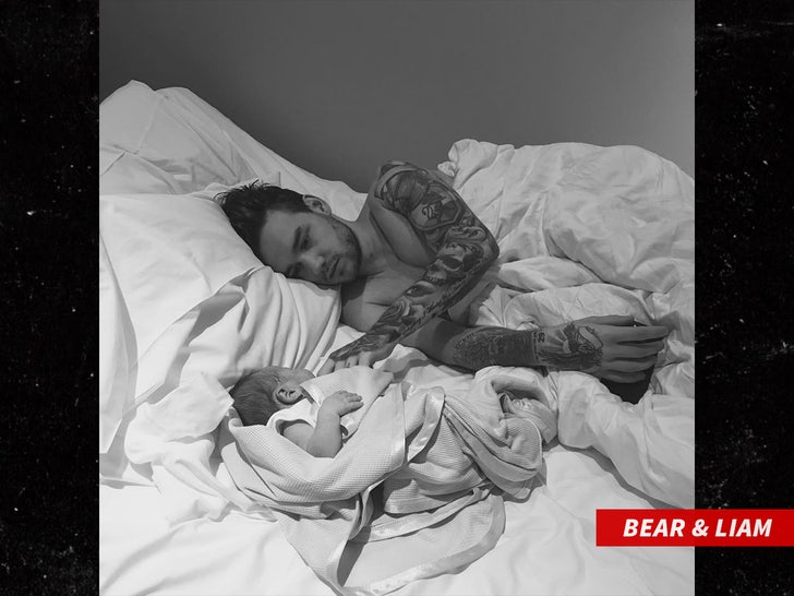 liam payne bear son sub instagram swipe
